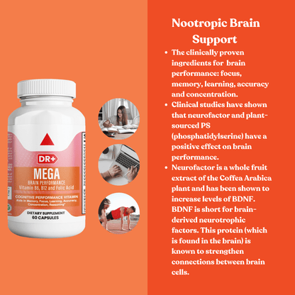 Neuro Brain & Focus, Memory, Function, Clarity Nootropic Supplement (3-Pack) - Herblif Nutrition USA