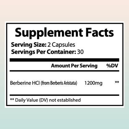 Premium Berberine HCL 1200mg - Healthy Cholesterol & Anti-inflammatory | 2-Pack - Herblif Nutrition USA